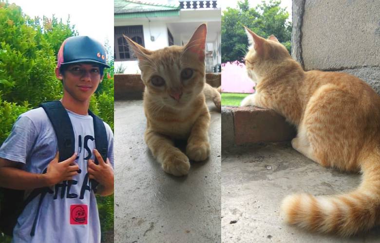 Perpisahan Terindah Ardico Rianto Dengan Kucing Peliharaanya Yang Mengharukan